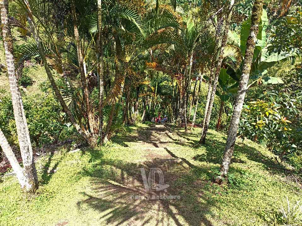 Bailarinas-Montenegro-Quindio-Colombia4