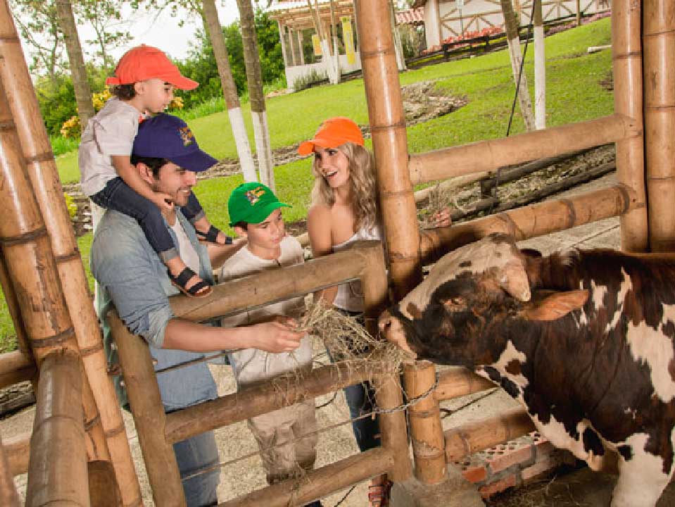 Consota-Pereira-Risaralda-Colombia2