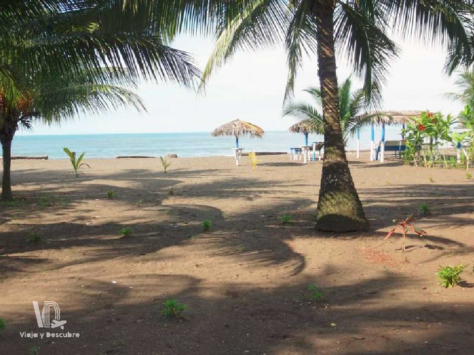 Pianguita-Buenaventura-Colombia1