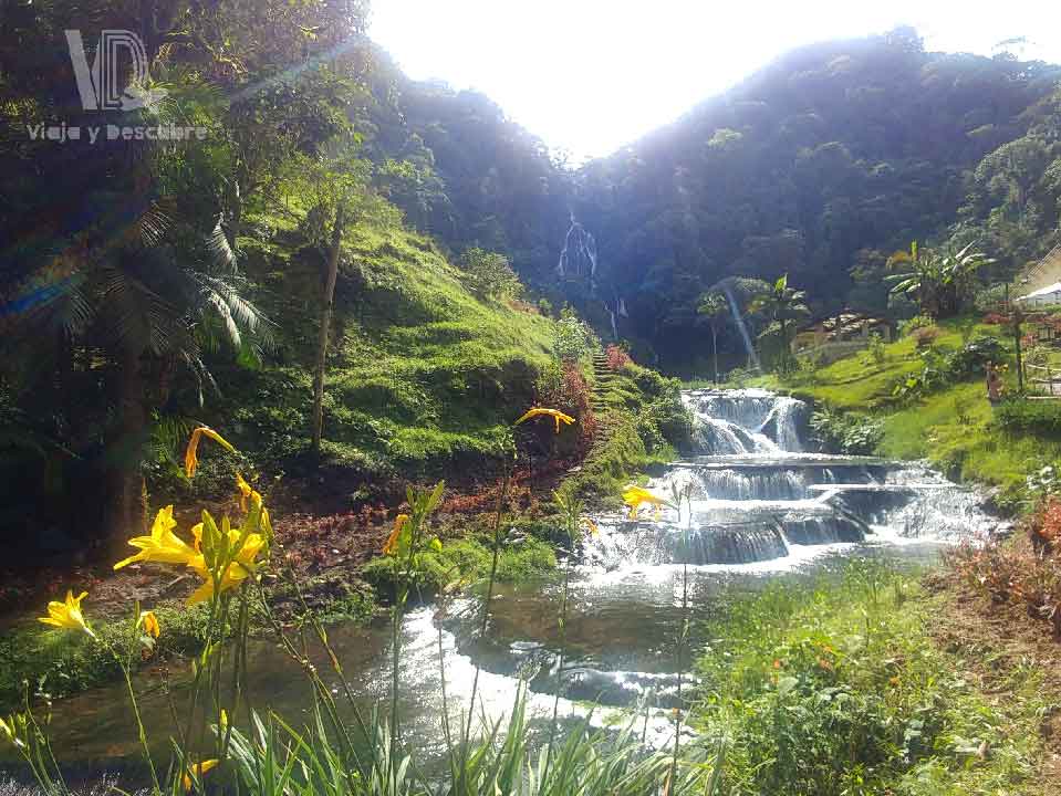 Termales