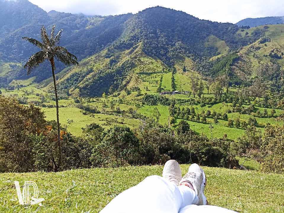 Valle-del-cocora-Quindio-Colombia-Viaja-y-descubre1