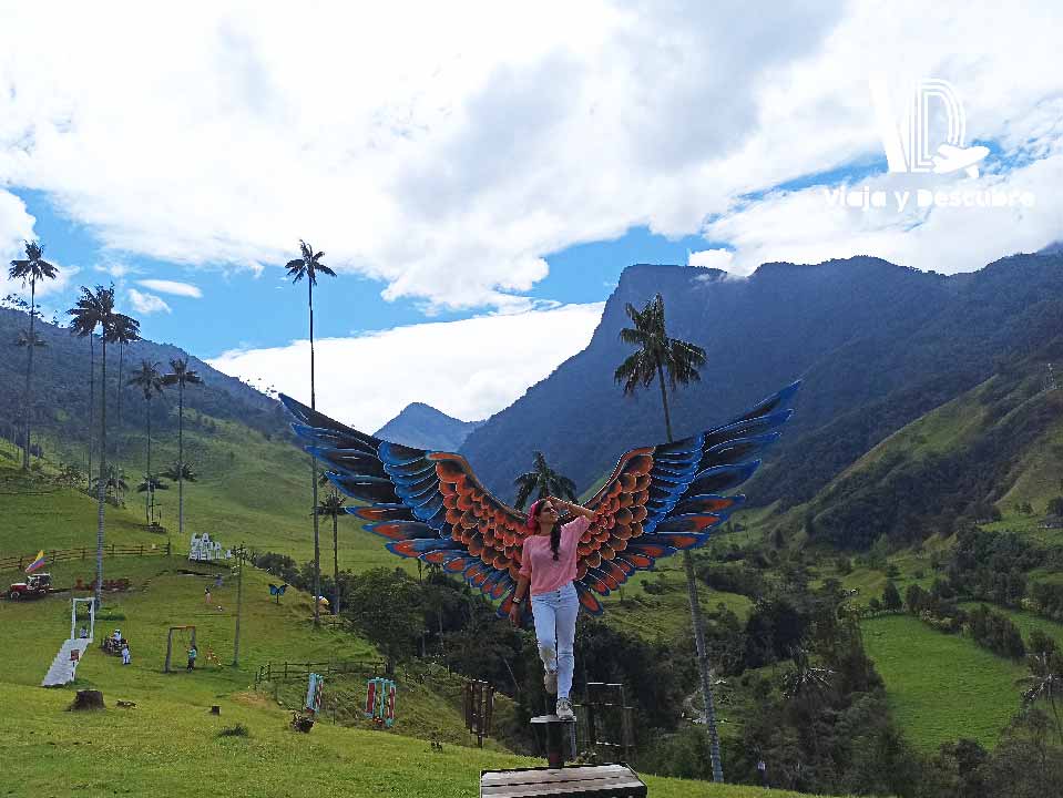 Valle-del-cocora-Quindio-Colombia-Viaja-y-descubre5