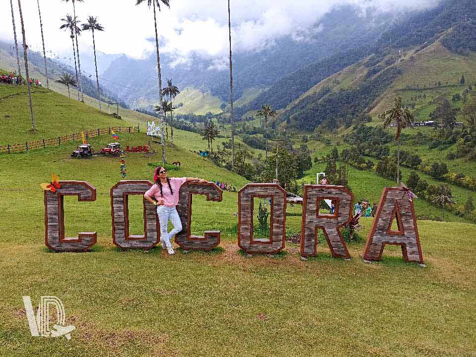 Valle-del-cocora-Quindio-Colombia-Viaja-y-descubre