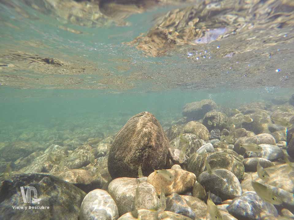 pasadia-san-cipriano-aguas-cristalinas