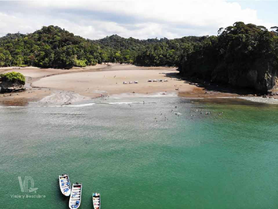 pasadia-avistamiento-de-ballenas-playa-dorada