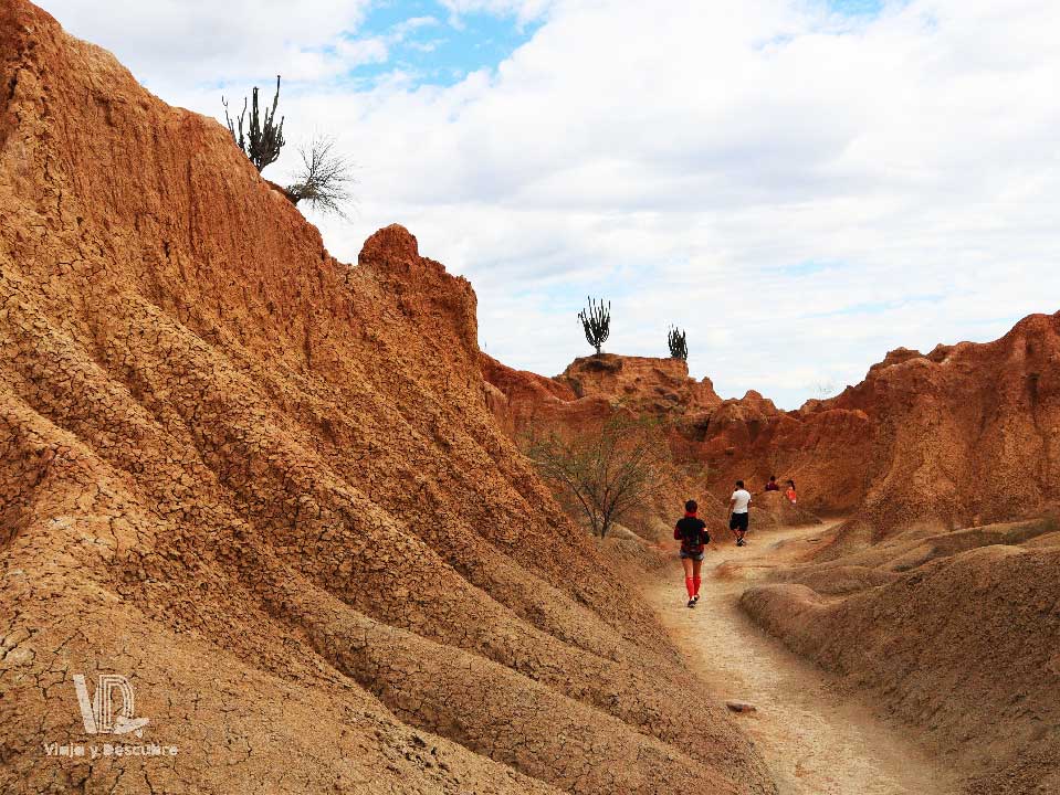 tour-desierto-de-la-tatacoa-senderismo